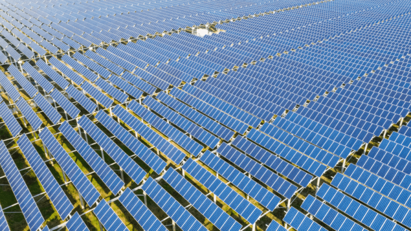 canadian-solar-abre-una-nueva-sede-mundial-en-ontario