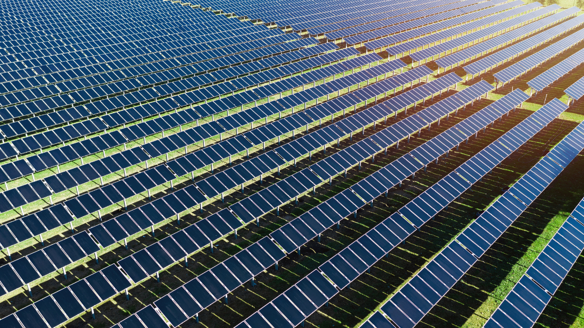 asabe-y-seia-colaboran-para-desarrollar-estandares-agrovoltaicos-para-energia-solar-y-agricultura