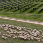 octopus-australia-recibe-la-aprobacia-del-gps-para-el-sitio-de-almacenamiento-solar-de-300mw