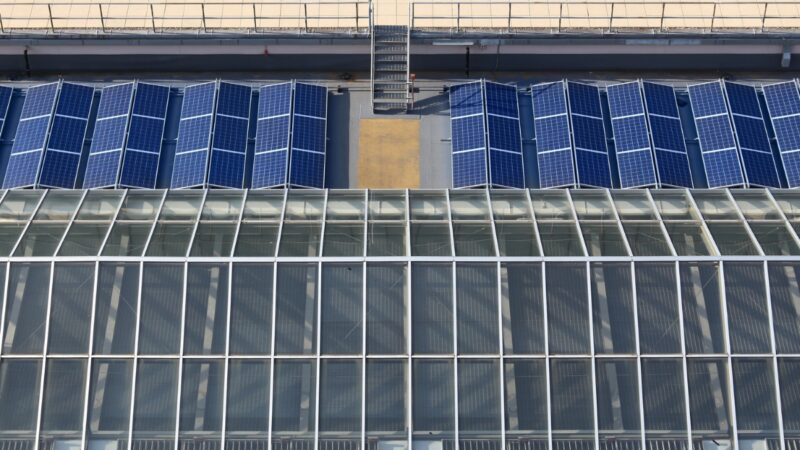doral-renewables-admite-smart-solar-para-salvaguardar-las-tierras-de-cultivo-y-acelerar-la-energia-limpia