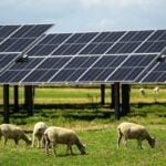 lodestone-energy-comienza-la-construccion-de-la-planta-fotovoltaica-de-28mw-en-nueva-zelanda