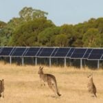 energia-europea-asegura-au-$-130-milones-para-la-cartera-de-pv-solar-de-137mw-en-australia
