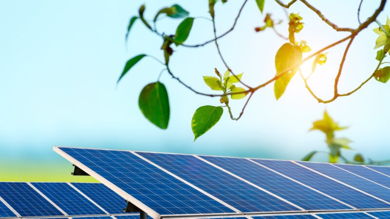 acuerdo-de-vungu-tintas-solar-para-lanzar-el-primer-proyecto-solar-de-30mw-finaria-interacionalma-de-zimbabwe