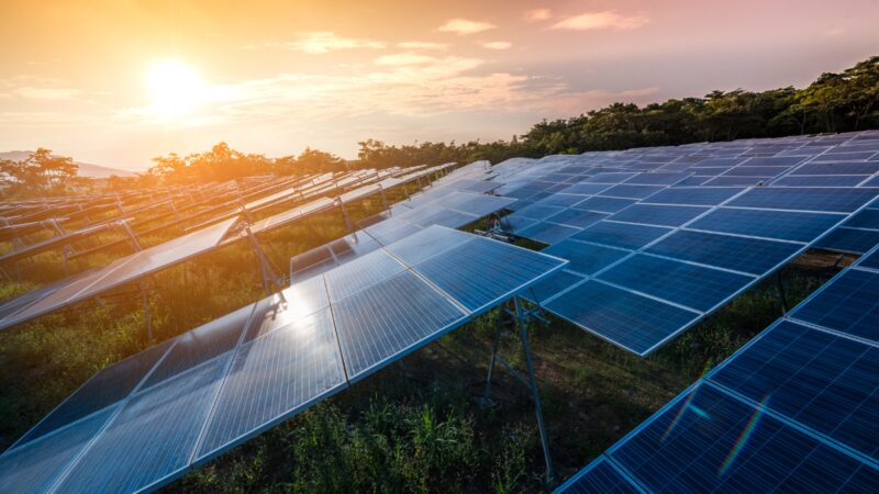 jinkosolar-e-ib-vogt-socio-para-suministrar-modulos-tiger-neo-para-el-cluster-solar-sgovia-de-513-mwp-espapraima