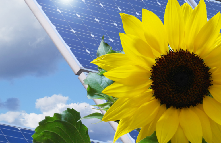 georgia-power-asegura-la-aprobacia-de-1.068-mw-de-nuevo-ppa-solar-en-georgia