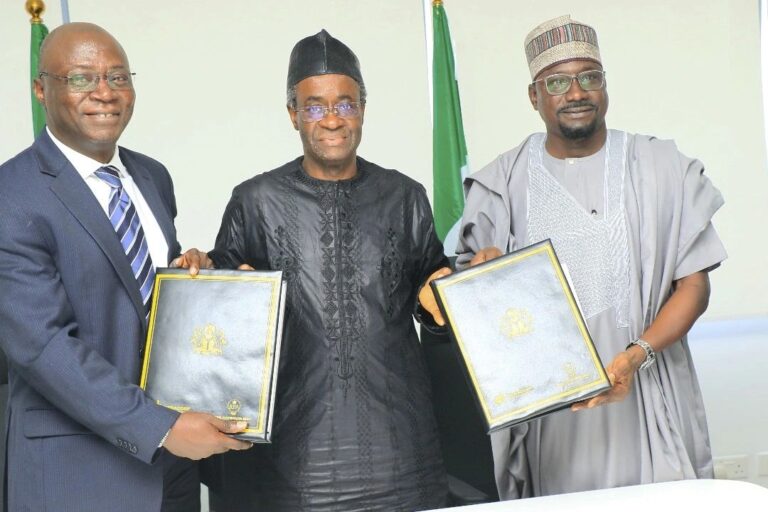 nigeria-para-construya-la-instalacia-de-fabricacion-de-modulos-solares-1gw