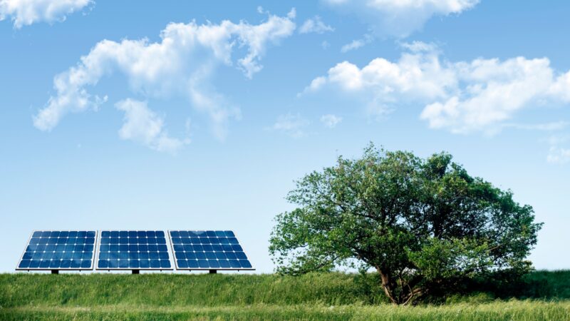 rwe-logra-hito-con-la-primera-bateria-a-escala-de-cuadricula-de-ocho-horas-de-australia-en-limondale-solar-farm