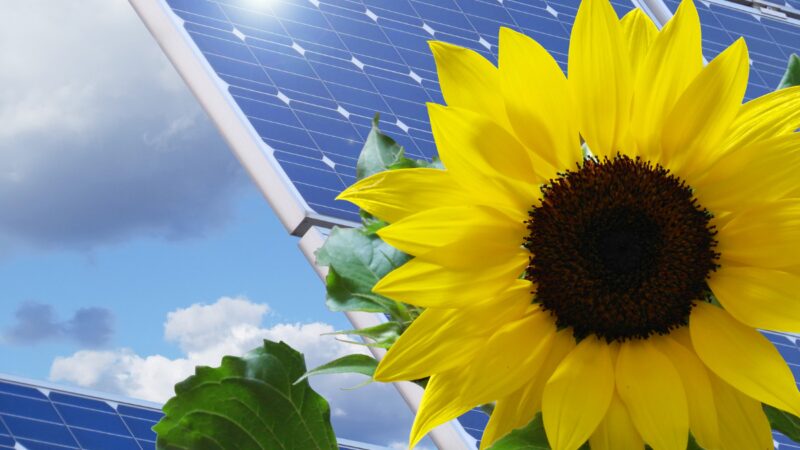 el-proyecto-solar-tomakomai-en-japon-selecciona-deepblue-4.0-pro-de-ja-solar-para-una-dura-confiabilidad-climatica