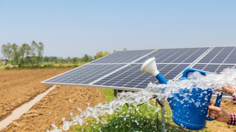 lightsource-bp-obtiene-una-financiacion-de-capital-fiscal-de-97,9-millones-de-dolares-de-pinnacle-financial-partners-para-el-proyecto-solar-peacock-de-187-mw