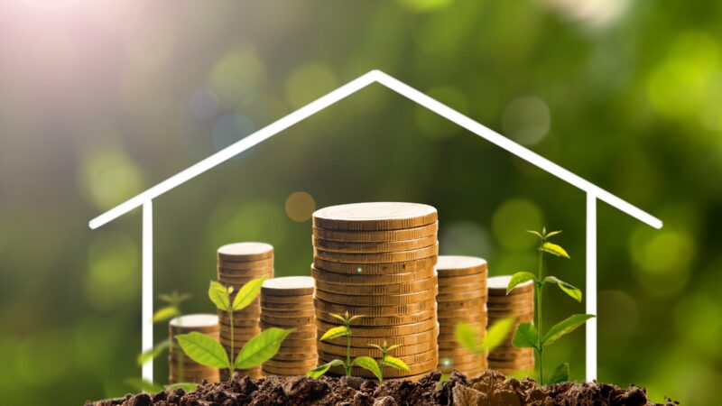 saatvik-green-energy-ofrece-solidos-resultados-en-el-segundo-trimestre-y-el-primer-semestre-del-ano-fiscal-26-con-un-crecimiento-record-de-ingresos,-margenes-solidos-y-una-importante-expansion-de-capacidad-en-ambala-y-odisha.