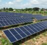 Crecimiento de la generación solar distribuida en Argentina