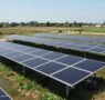 Innovación en Energía Solar: PV Flotante en Estanques de Purines en España