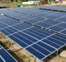 Navegando los desafíos de la industria solar en China