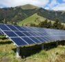 El impulso solar en Nueva Zelanda con proyectos a gran escala