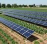 Corea del Sur duplica su inversión en energía solar agrícola para 2027