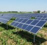 Innovaciones en técnicas agrivoltaicas para mejorar la agricultura