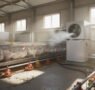 Innovación en calefacción avícola con bombas de calor de aire