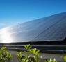 Mejora de la eficiencia en celdas solares de perovskita