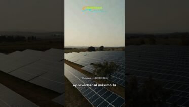 ¿Sabías que una pequeña sombra puede afectar mucho tus paneles solares?