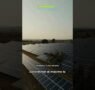 ¿Sabías que una pequeña sombra puede afectar mucho tus paneles solares?